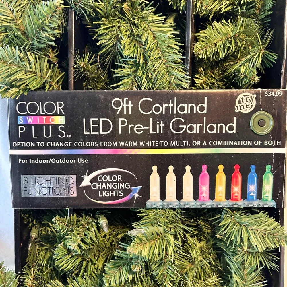 Color Switch Plus 9ft Cortland LED Pre-Lit Garland Color Changing Battery Timer
